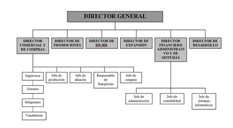 organigrama de gucci|Gucci organizational chart.